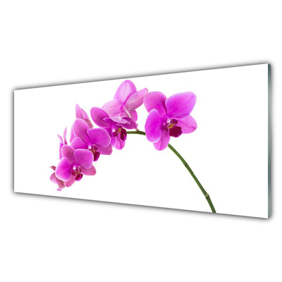 Glass Wall Art Flowers floral pink