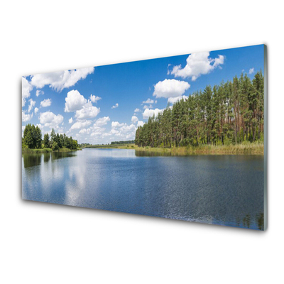 Glass Wall Art Forest lake landscape green blue