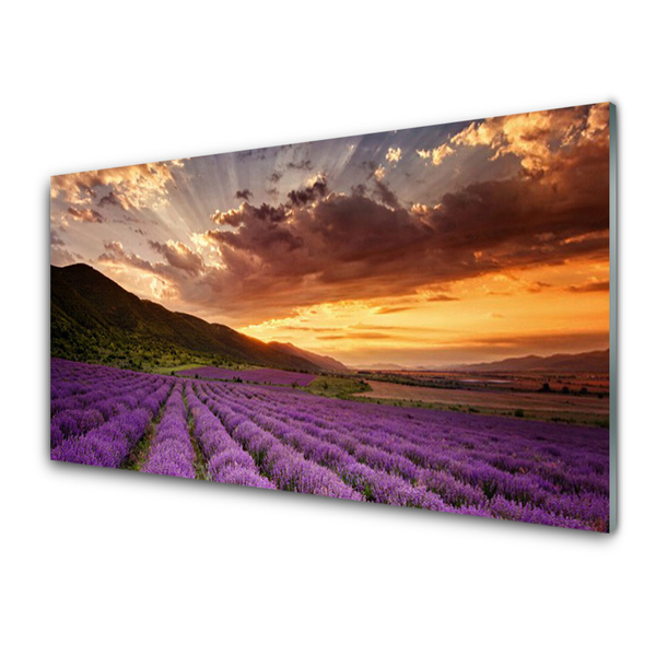 Glass Wall Art Mountains meadow flowers landscape green pink