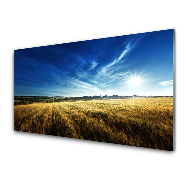 Glass Wall Art Field sky nature yellow blue white