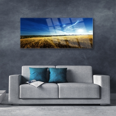 Glass Wall Art Field sky nature yellow blue white