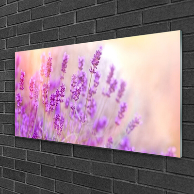 Glass Wall Art Flowers floral pink