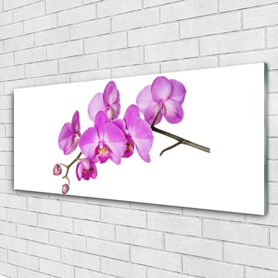 Glass Wall Art Flowers floral pink