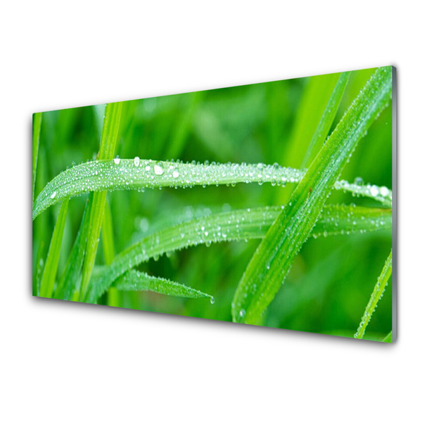 Glass Wall Art Grass nature green