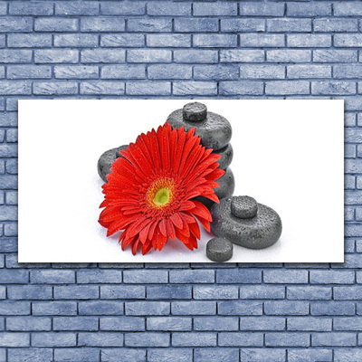 Glass Wall Art Flower stones floral red grey