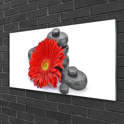 Glass Wall Art Flower stones floral red grey