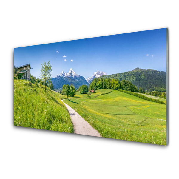 Glass Wall Art Meadow footpath nature green brown