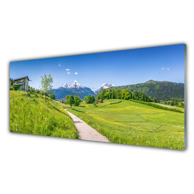 Glass Wall Art Meadow footpath nature green brown