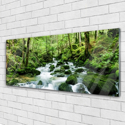 Glass Wall Art Forest lake stones nature brown green white