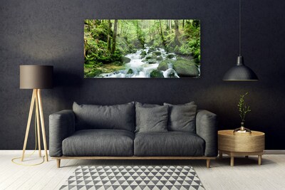 Glass Wall Art Forest lake stones nature brown green white