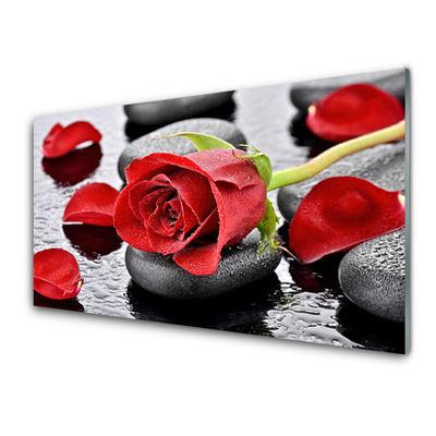 Glass Wall Art Rose stones floral red grey