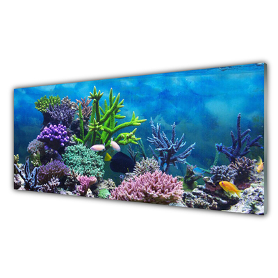 Glass Wall Art Coral reef nature multi