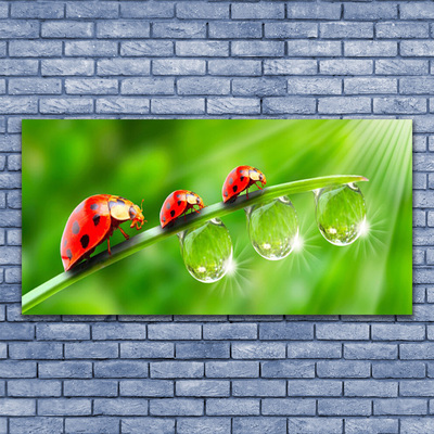 Glass Wall Art Grass ladybug drops of dew floral green black red