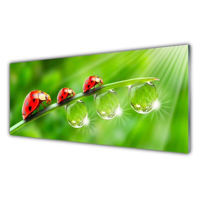 Glass Wall Art Grass ladybug drops of dew floral green black red