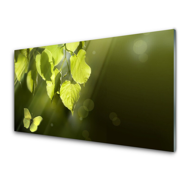 Glass Wall Art Butterfly leaves nature green
