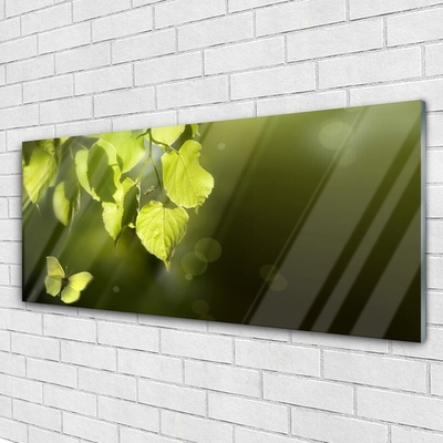 Glass Wall Art Butterfly leaves nature green