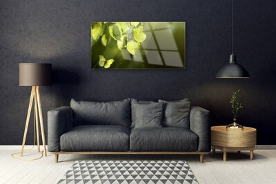 Glass Wall Art Butterfly leaves nature green