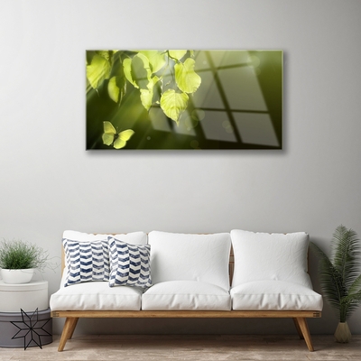 Glass Wall Art Butterfly leaves nature green