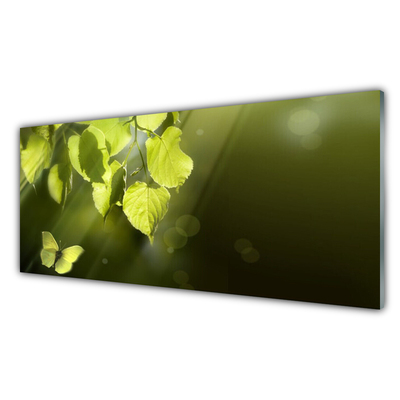 Glass Wall Art Butterfly leaves nature green