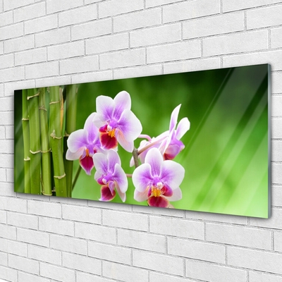 Glass Wall Art Bamboo tube flowers floral green pink