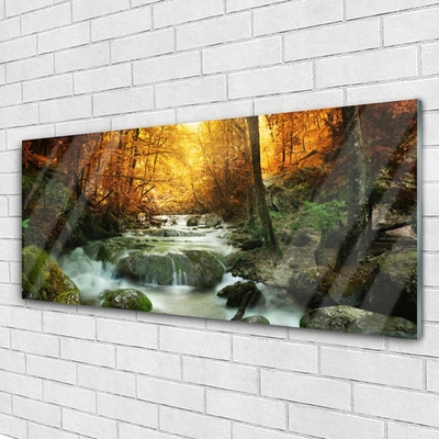 Glass Wall Art Waterfall forest stones nature brown yellow grey white
