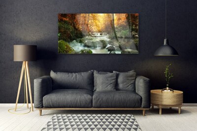 Glass Wall Art Waterfall forest stones nature brown yellow grey white
