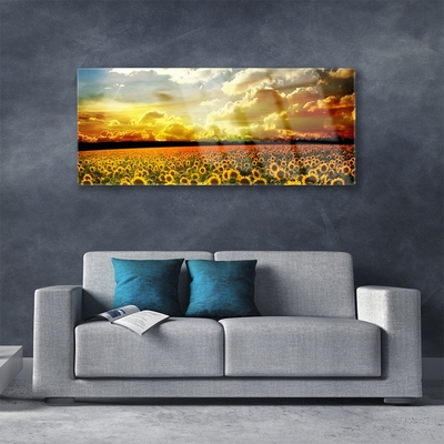 Glass Wall Art Meadow sunflowers floral yellow brown