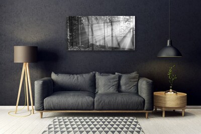 Glass Wall Art Forest nature grey