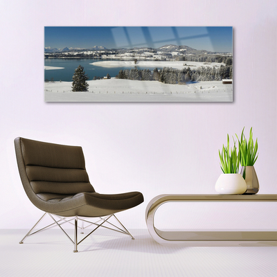 Glass Wall Art Snow lake forest landscape blue white green