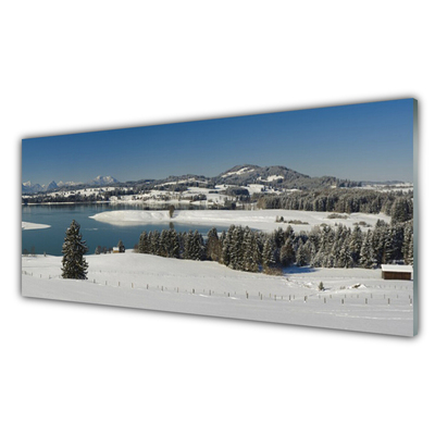 Glass Wall Art Snow lake forest landscape blue white green