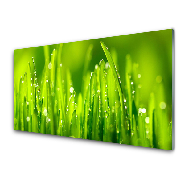 Glass Wall Art Weed nature green