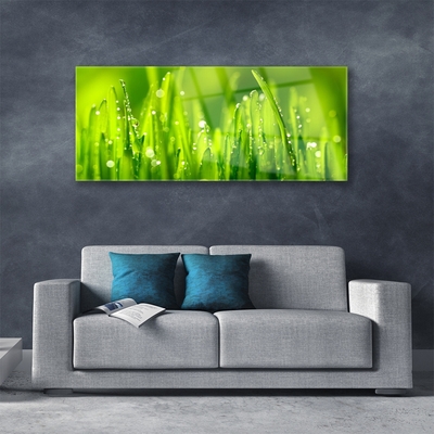 Glass Wall Art Weed nature green