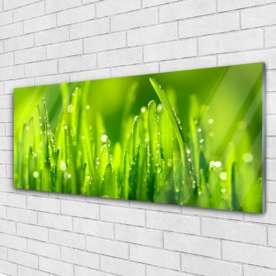 Glass Wall Art Weed nature green