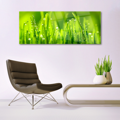 Glass Wall Art Weed nature green