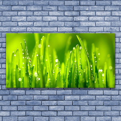 Glass Wall Art Weed nature green