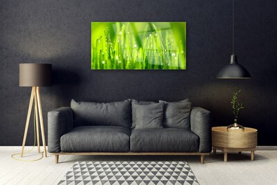 Glass Wall Art Weed nature green