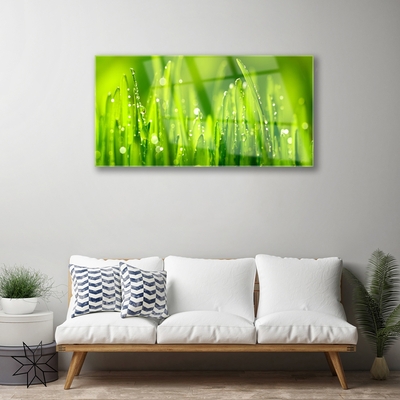 Glass Wall Art Weed nature green