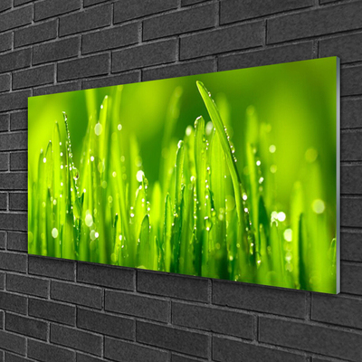 Glass Wall Art Weed nature green