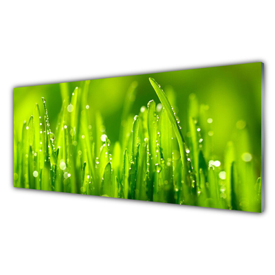 Glass Wall Art Weed nature green