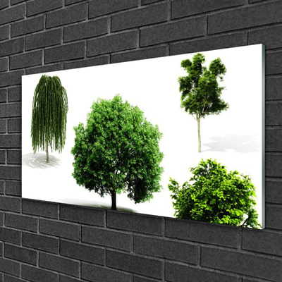 Glass Wall Art Trees nature brown green