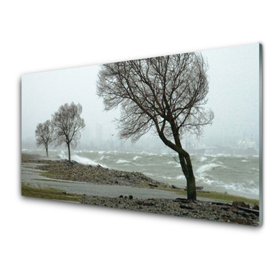 Glass Wall Art Trees nature brown