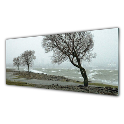 Glass Wall Art Trees nature brown