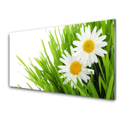 Glass Wall Art Grass daisies floral green yellow white