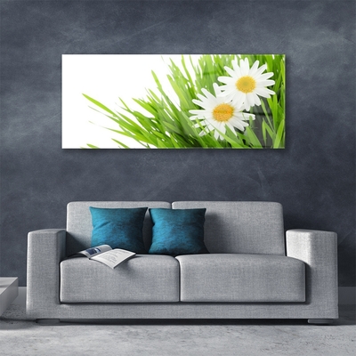 Glass Wall Art Grass daisies floral green yellow white