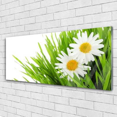 Glass Wall Art Grass daisies floral green yellow white