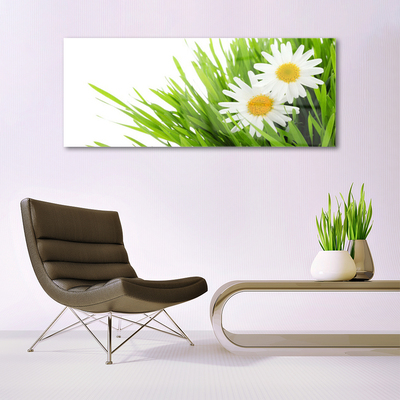 Glass Wall Art Grass daisies floral green yellow white