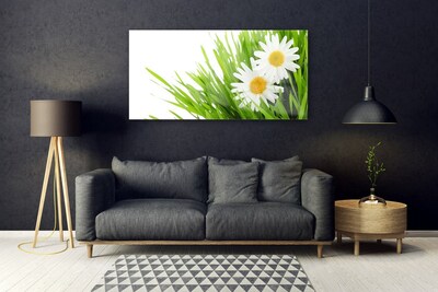 Glass Wall Art Grass daisies floral green yellow white