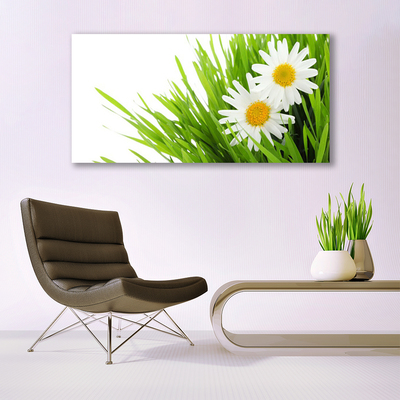 Glass Wall Art Grass daisies floral green yellow white