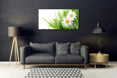 Glass Wall Art Grass daisies floral green yellow white