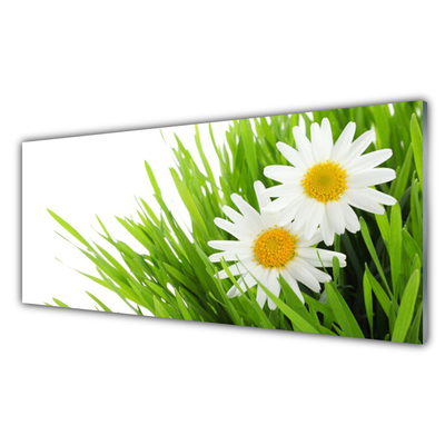 Glass Wall Art Grass daisies floral green yellow white